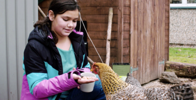 Ein Mädchen füttert ein Huhn